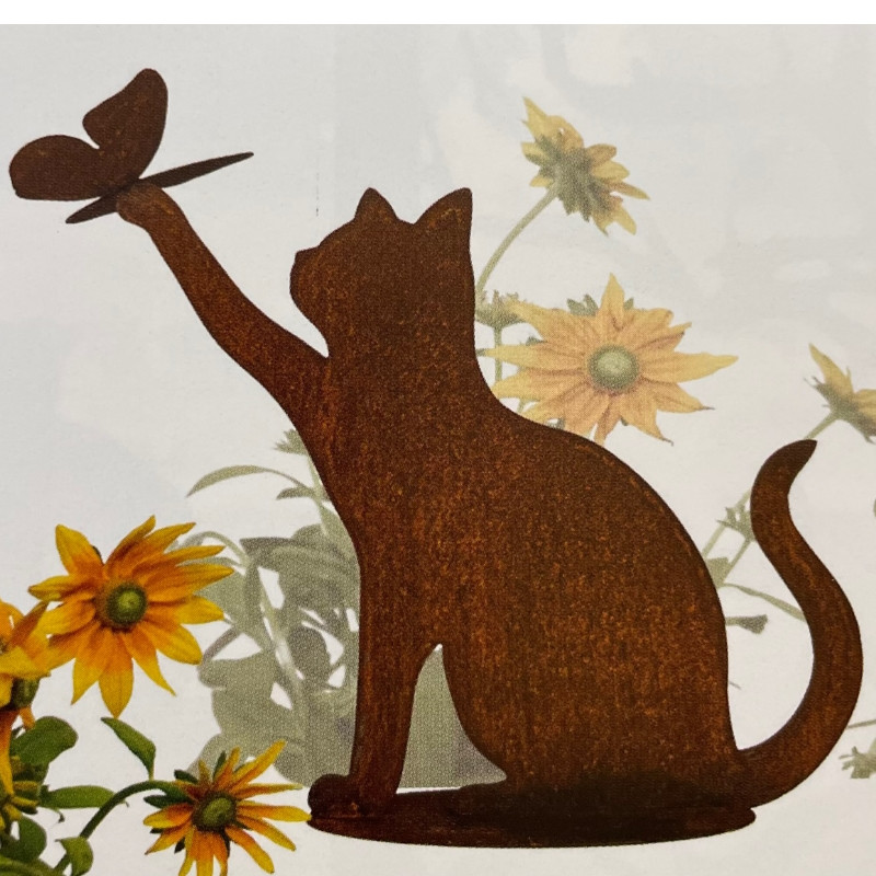 Edelrost Katze sitzend mit Schmetterling