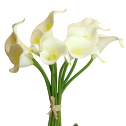 Calla Bund mit 9 Blüten...