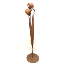 Edelrost Iris mit...