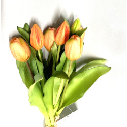 Tulpen Bund 7 Blüten...