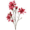 Japanischer Magnolienast Beauty Purple | 89 cm