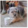 Tasse Haferl Hundeliebe Walkie Bone China | Sophie Allport